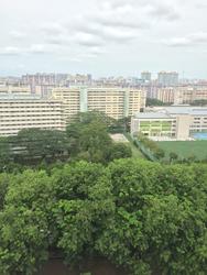 Blk 767 Bedok Reservoir View (Bedok), HDB 5 Rooms #71876841